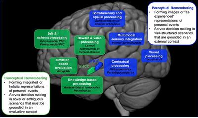 A Neurocognitive Perspective on the Forms and Functions of Autobiographical Memory Retrieval
